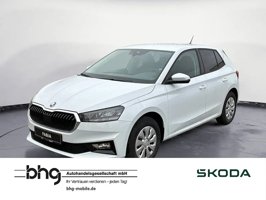 Skoda Fabia - Afbeelding 1