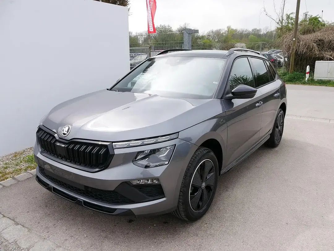 Skoda Kamiq - Thumbnail 2