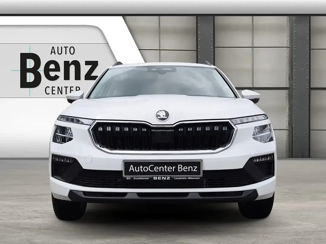 Skoda Kamiq - Thumbnail 8