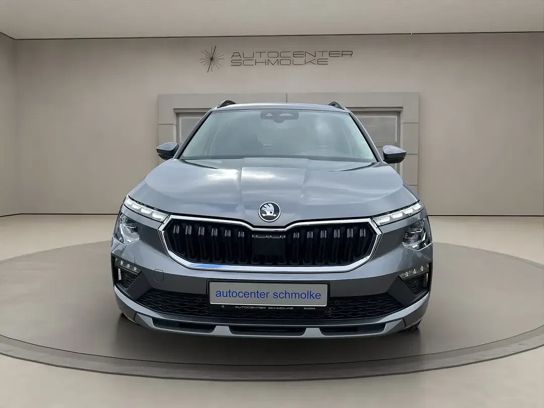 Skoda Kamiq - Thumbnail 1