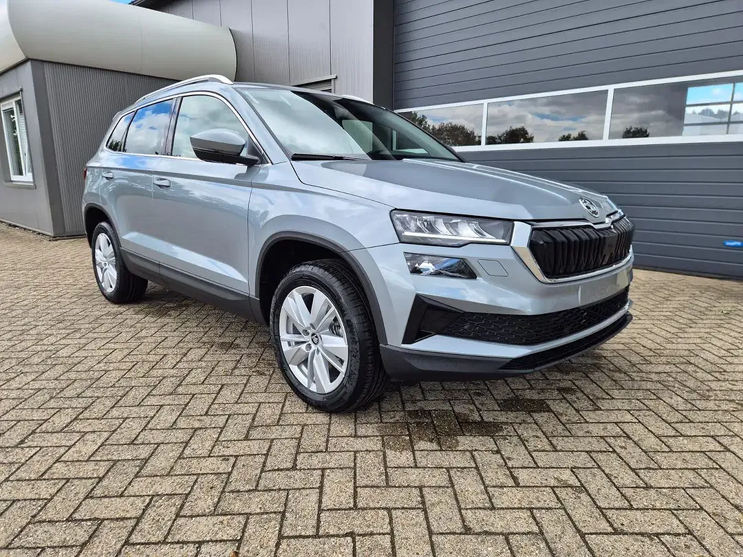 Skoda Karoq - Thumbnail 7