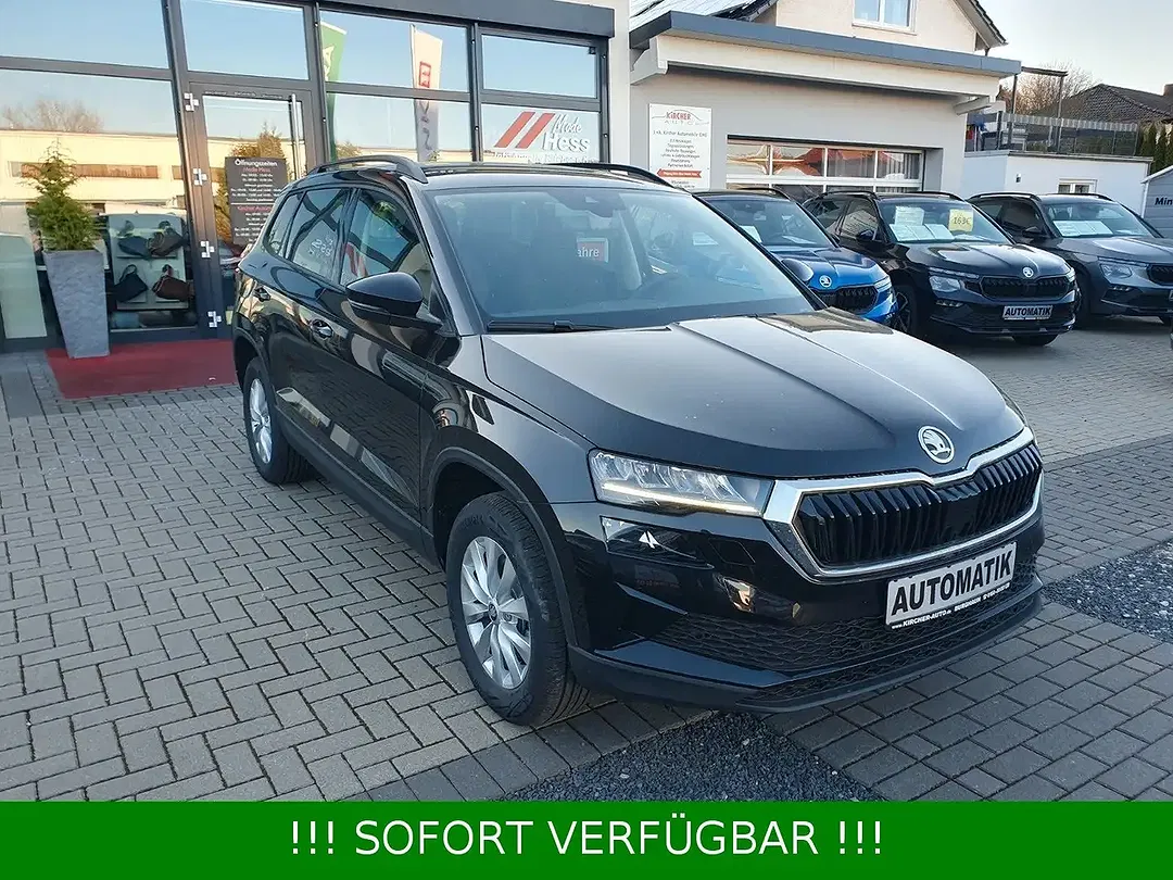 Skoda Karoq - Thumbnail 1