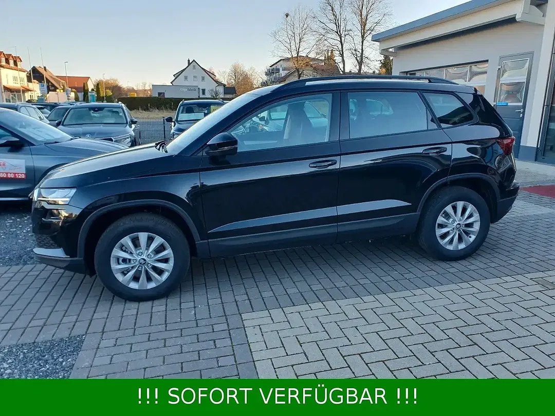 Skoda Karoq - Thumbnail 10