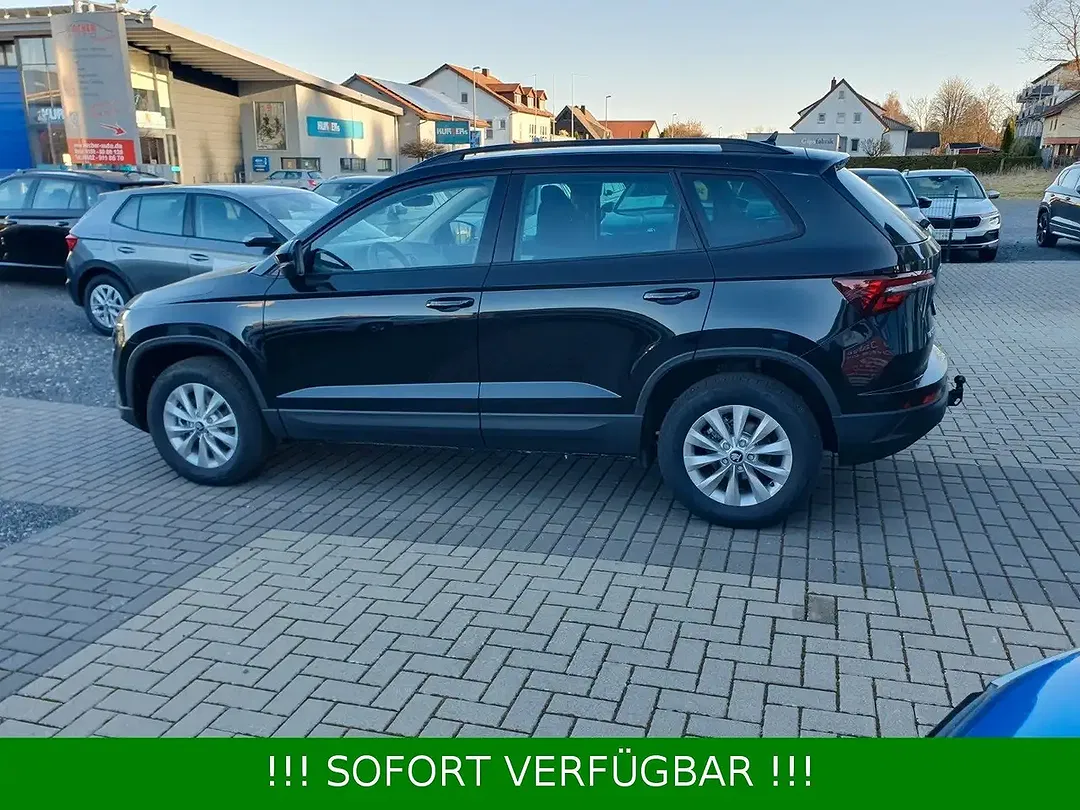 Skoda Karoq - Thumbnail 12