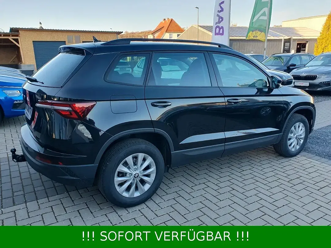 Skoda Karoq - Thumbnail 16