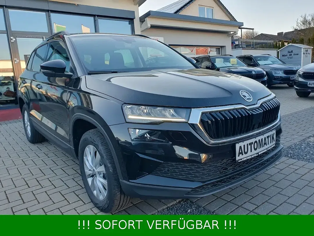 Skoda Karoq - Thumbnail 2