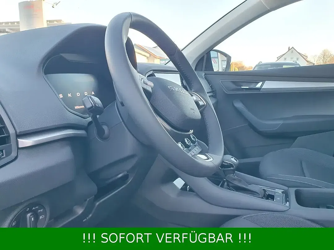 Skoda Karoq - Thumbnail 25