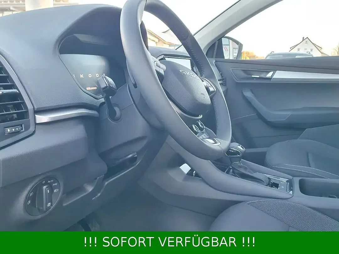 Skoda Karoq - Thumbnail 26