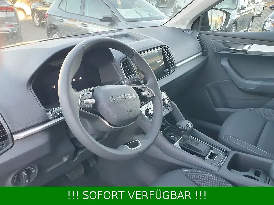 Skoda Karoq - Thumbnail 30