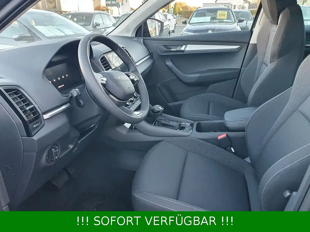 Skoda Karoq - Thumbnail 32