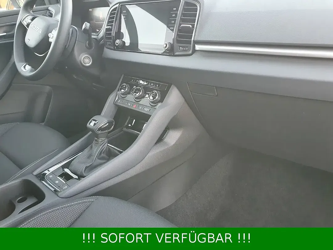 Skoda Karoq - Thumbnail 38