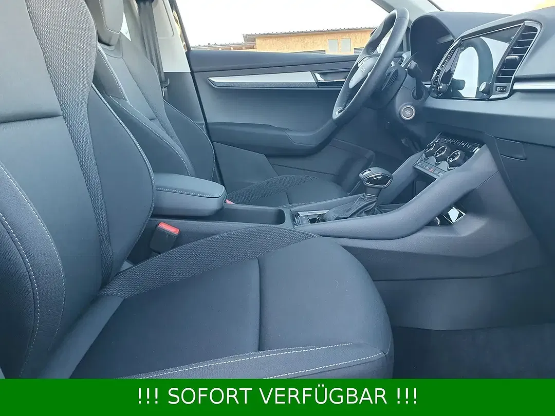 Skoda Karoq - Thumbnail 39