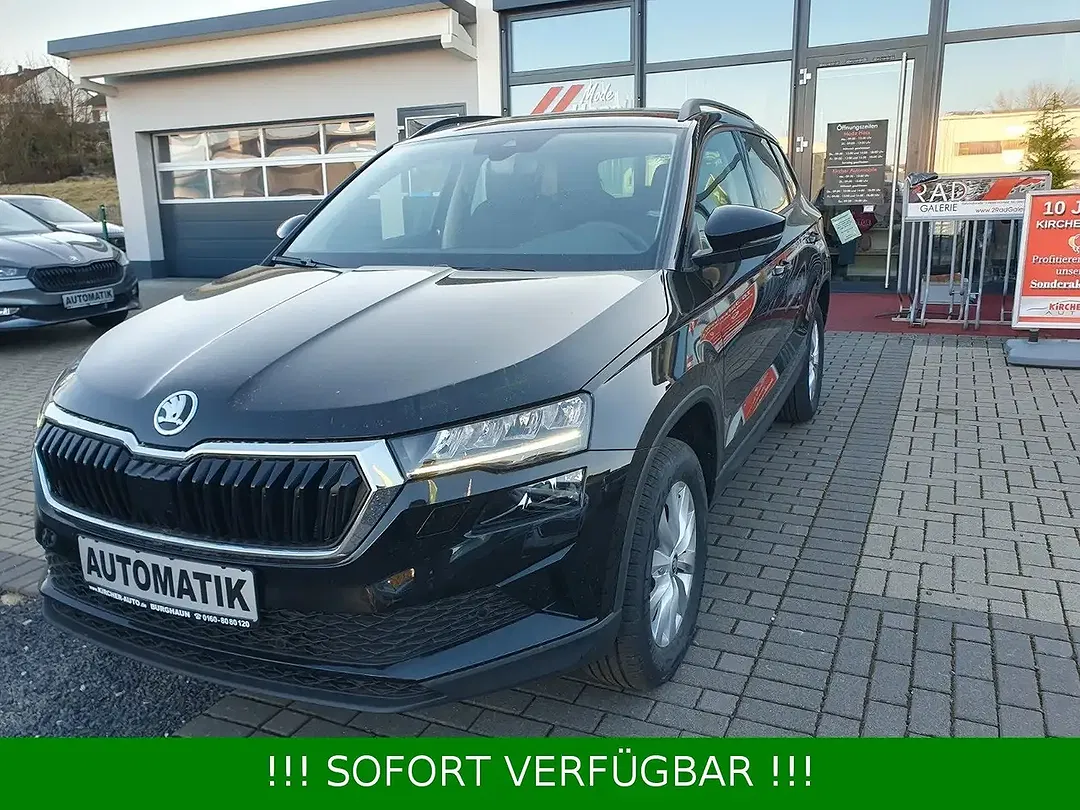 Skoda Karoq - Thumbnail 4