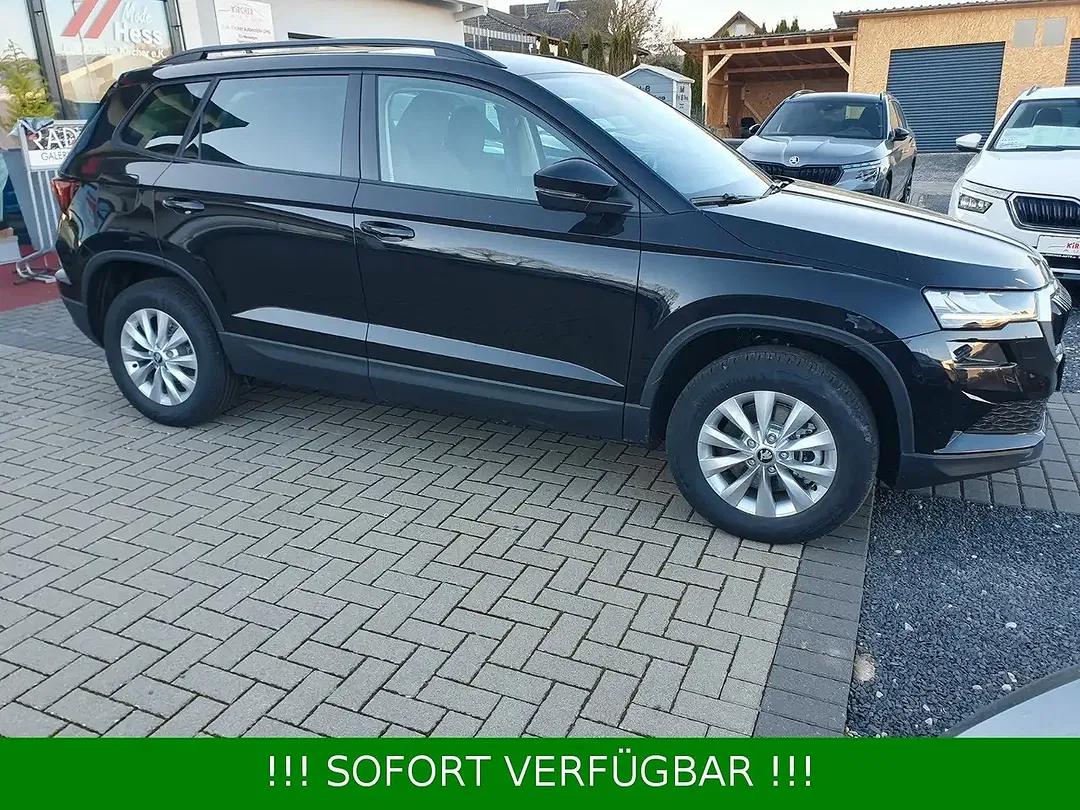 Skoda Karoq - Thumbnail 6