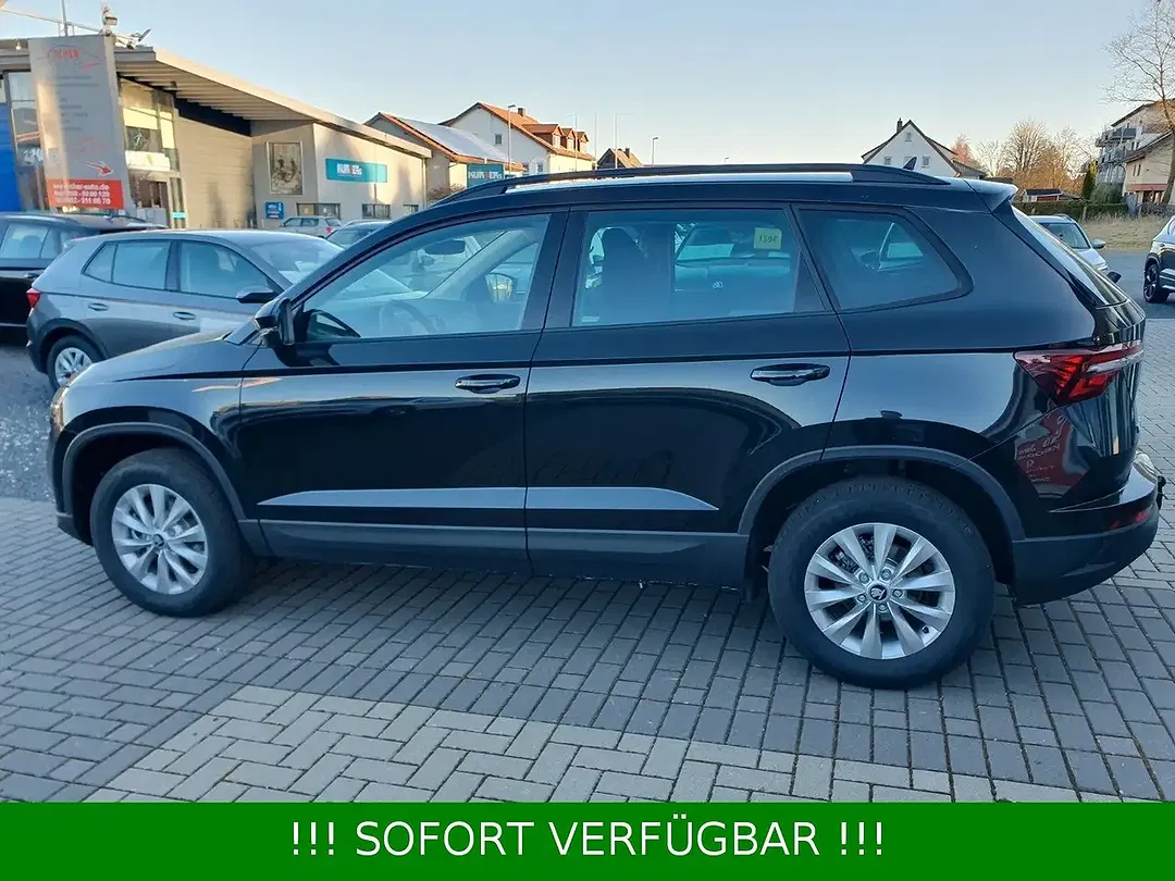 Skoda Karoq - Thumbnail 8