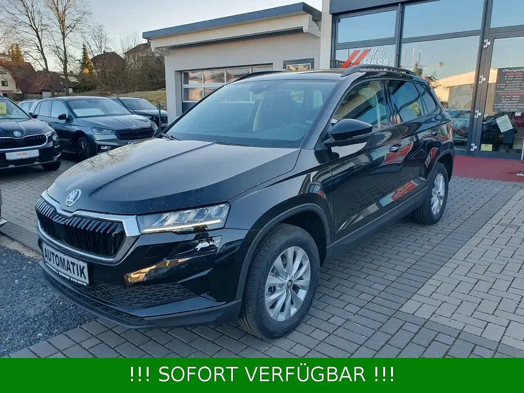 Skoda Karoq - Thumbnail 9