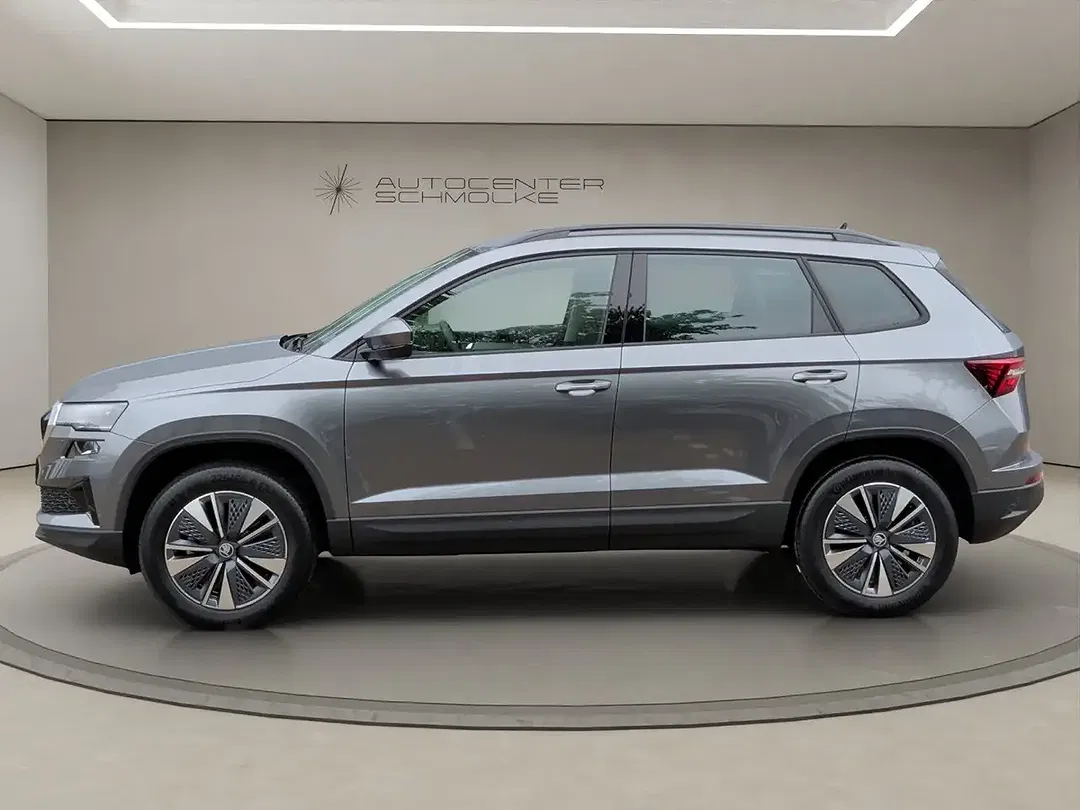 Skoda Karoq - Thumbnail 2