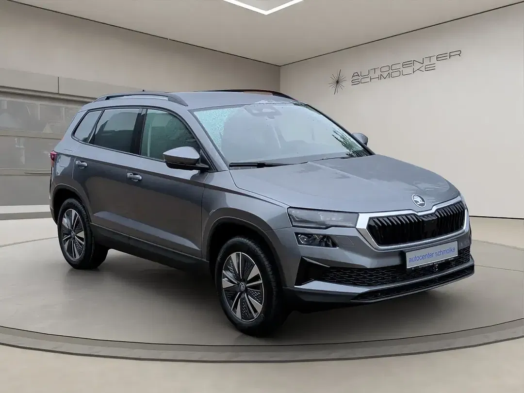 Skoda Karoq - Thumbnail 7