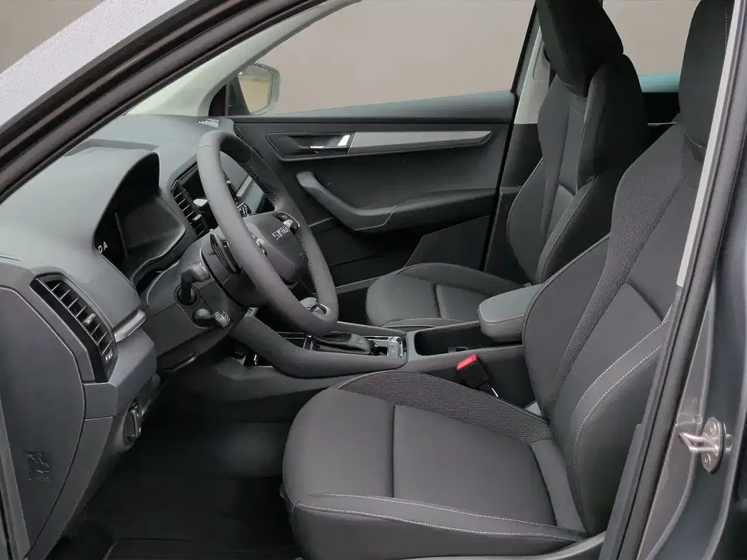 Skoda Karoq - Thumbnail 8