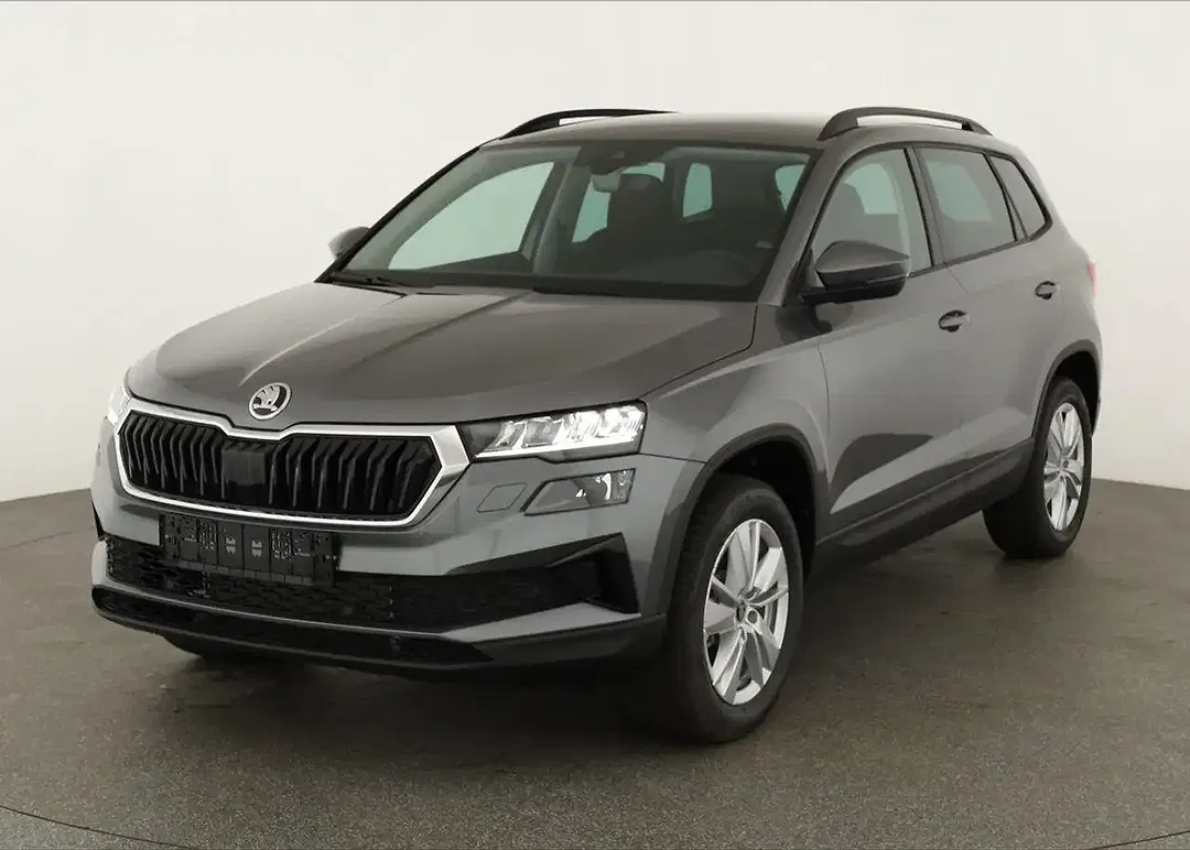Skoda Karoq - Thumbnail 1