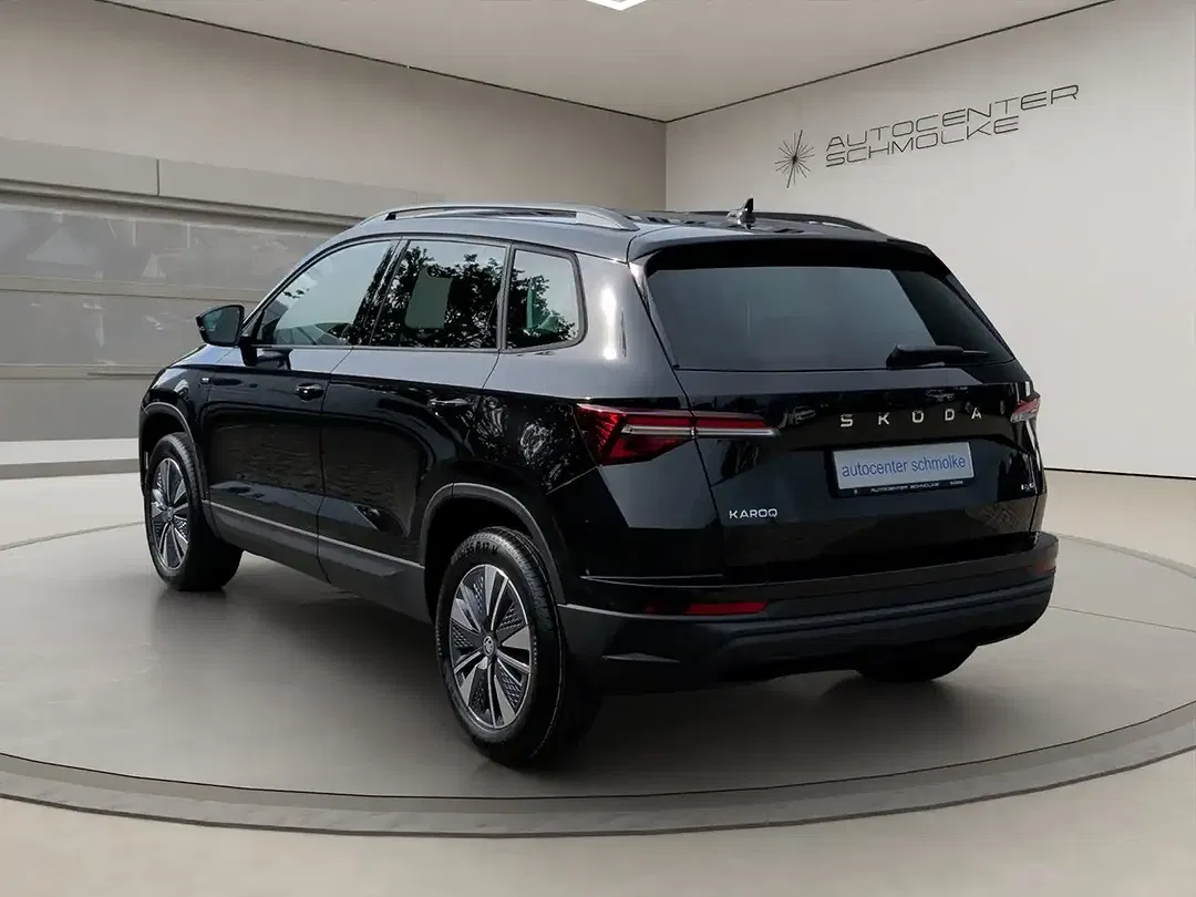 Skoda Karoq - Thumbnail 3
