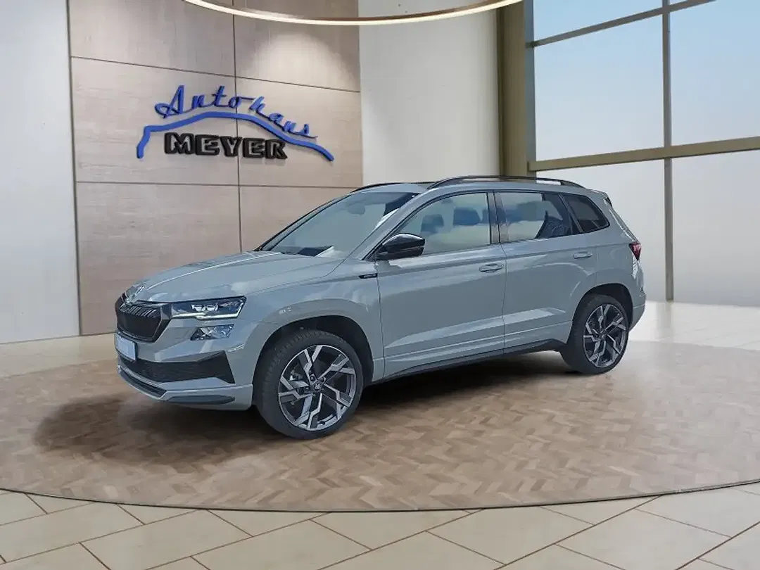 Skoda Karoq - Thumbnail 1