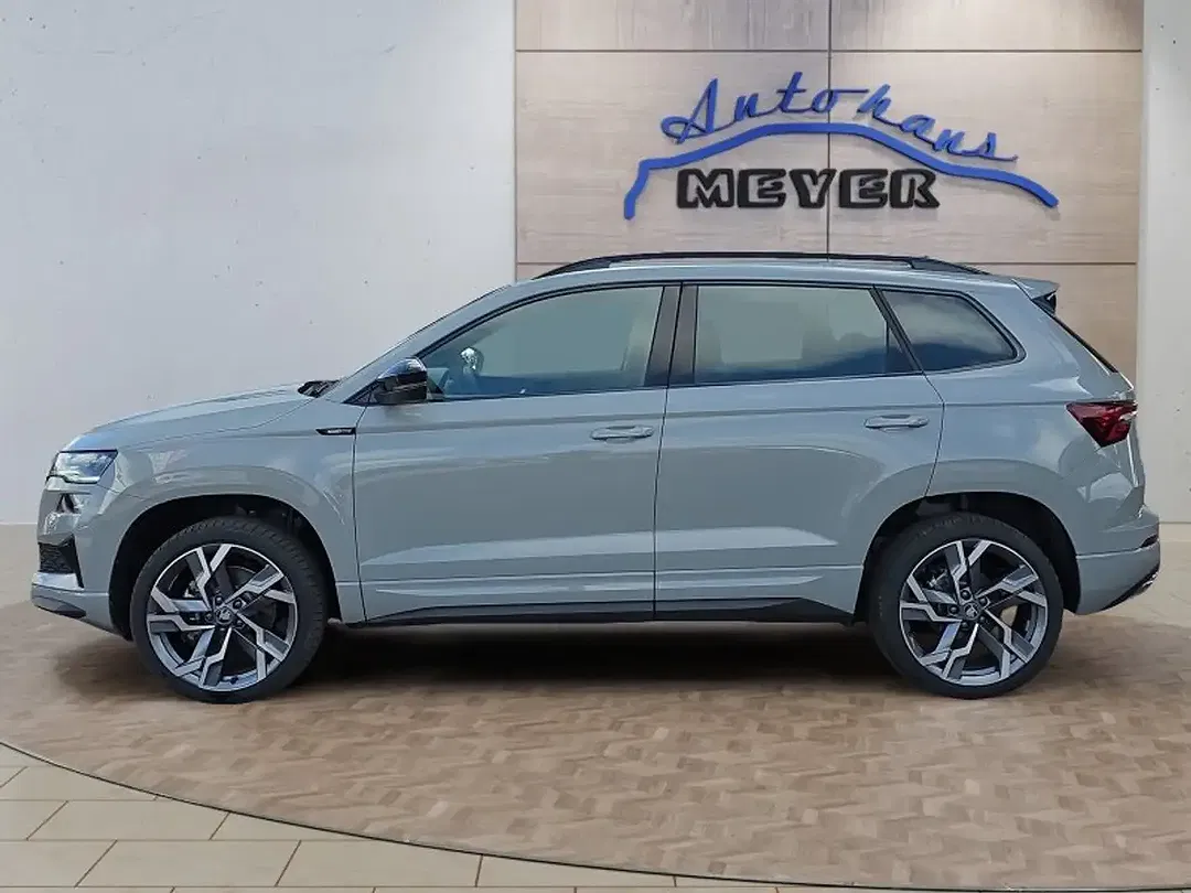 Skoda Karoq - Thumbnail 2