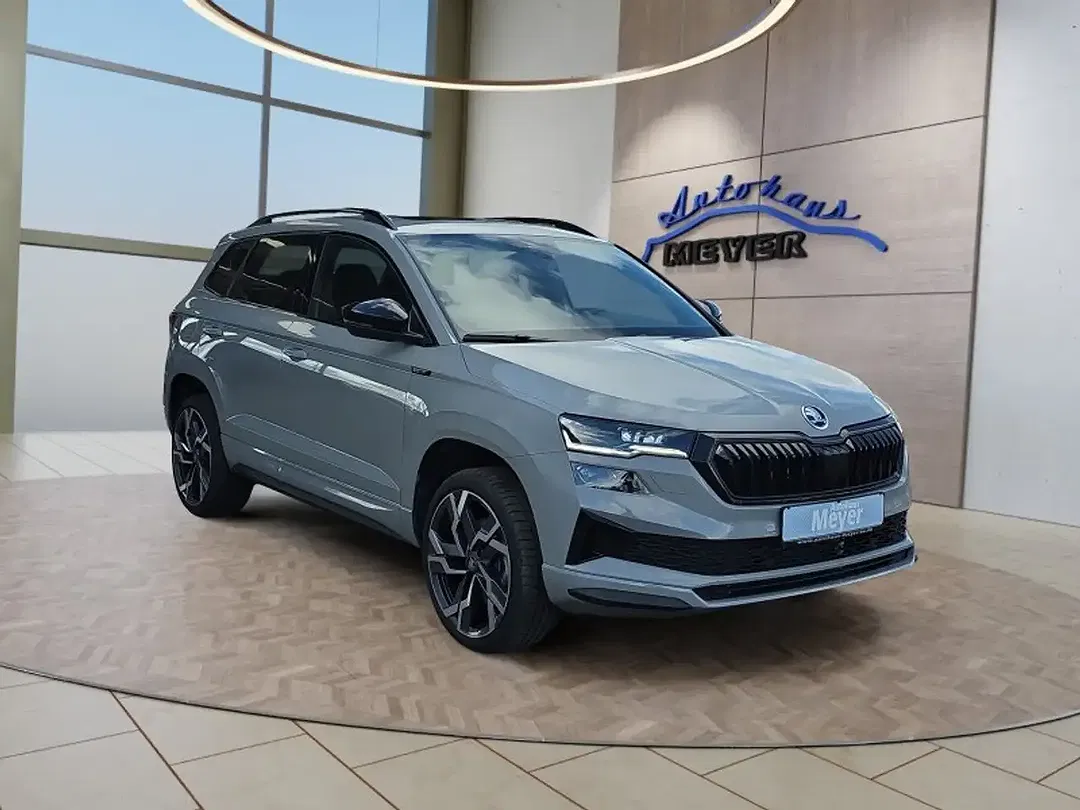 Skoda Karoq - Thumbnail 8