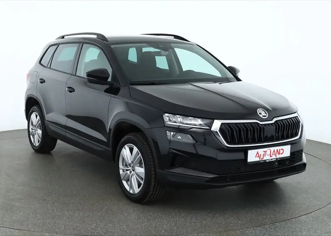 Skoda Karoq - Thumbnail 6
