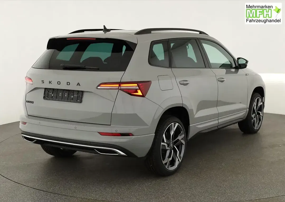 Skoda Karoq - Thumbnail 2