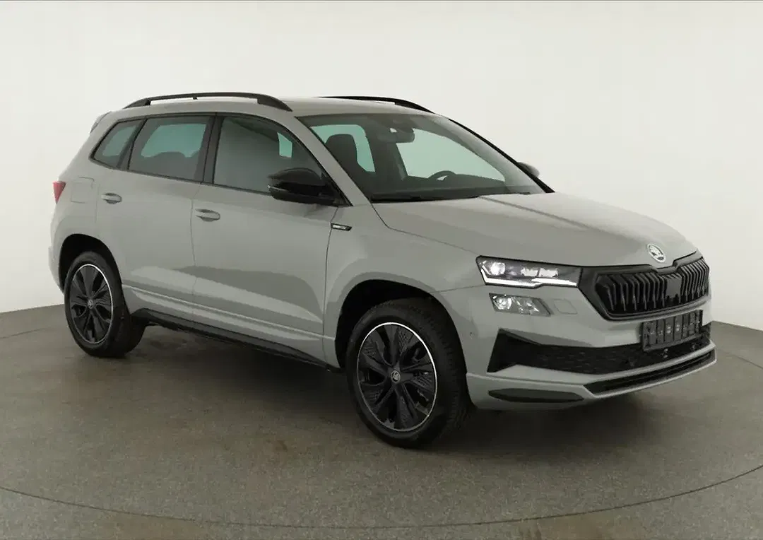 Skoda Karoq - Thumbnail 1