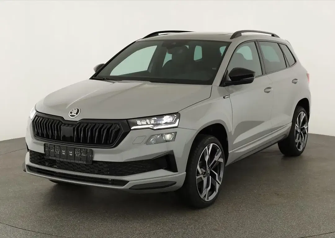 Skoda Karoq - Thumbnail 1