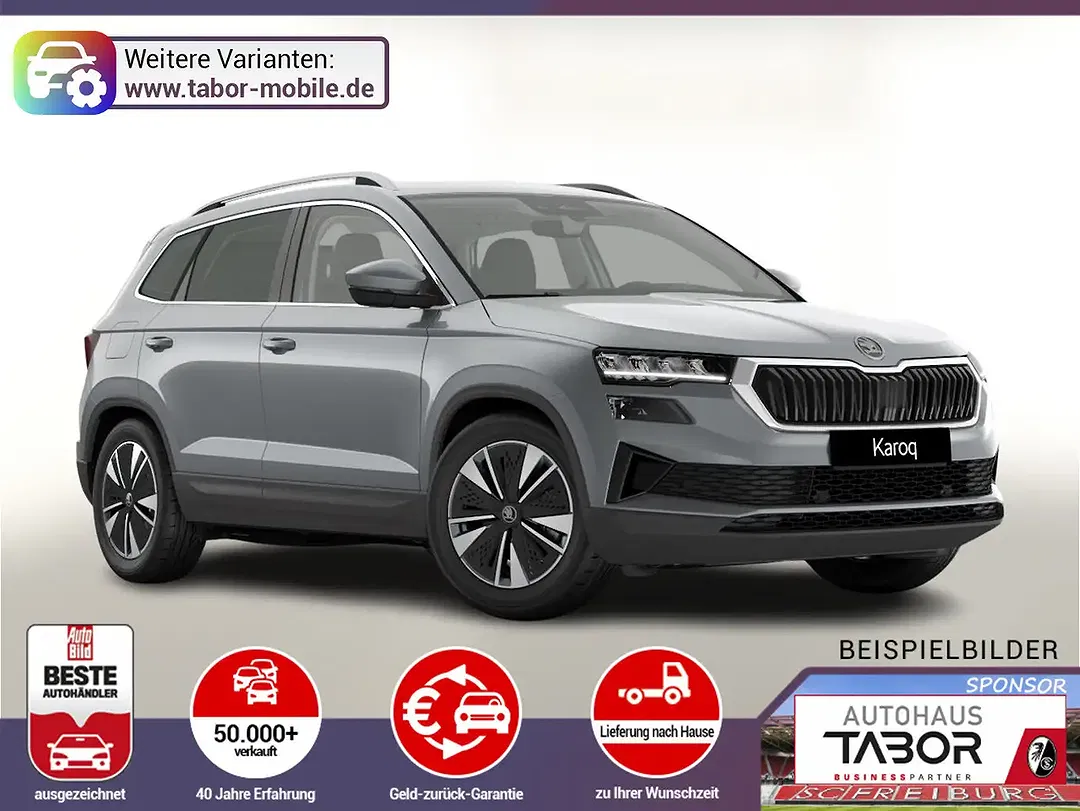 Skoda Karoq - Thumbnail 1