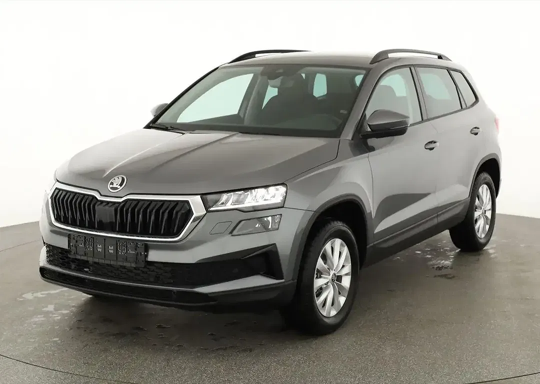 Skoda Karoq - Thumbnail 1