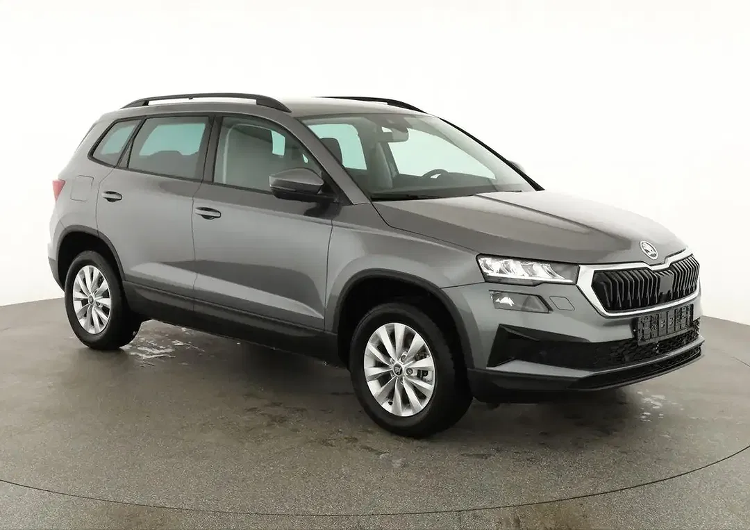Skoda Karoq - Thumbnail 2