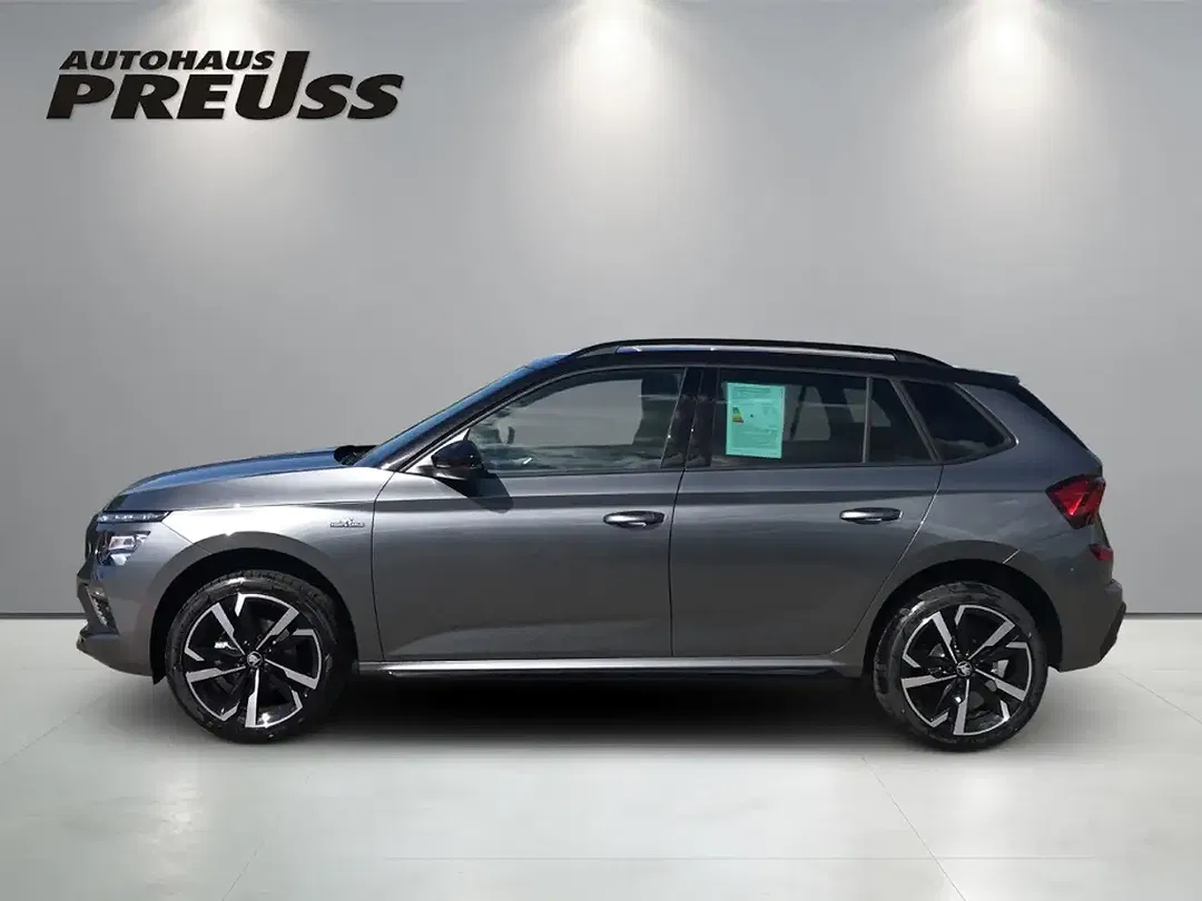 Skoda Kamiq - Thumbnail 2
