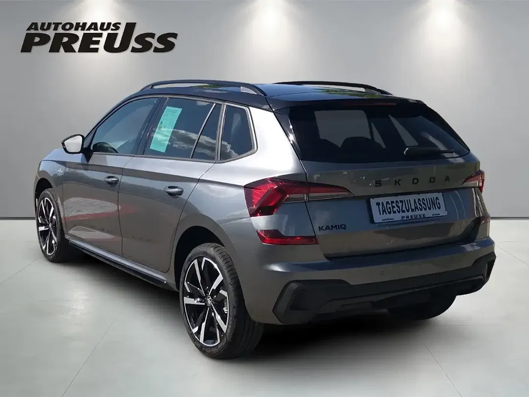 Skoda Kamiq - Thumbnail 3