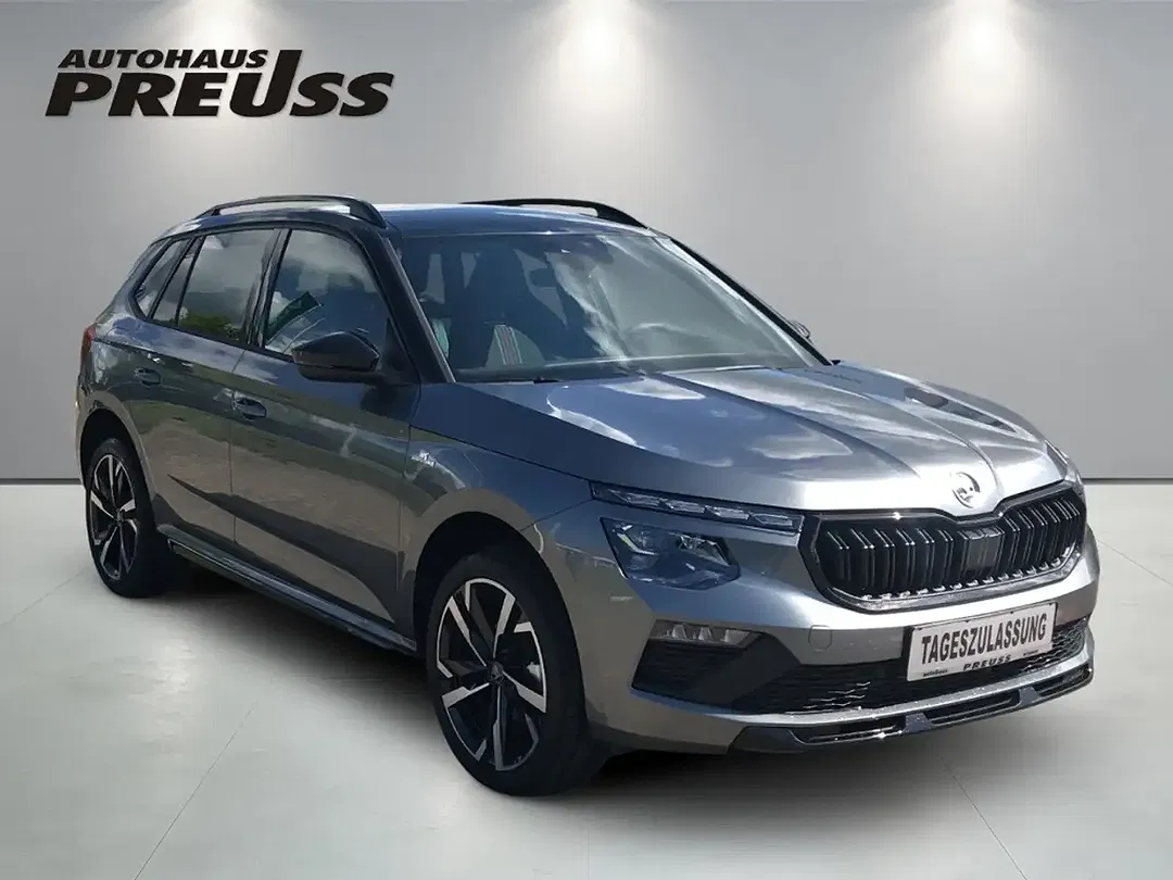 Skoda Kamiq - Thumbnail 6