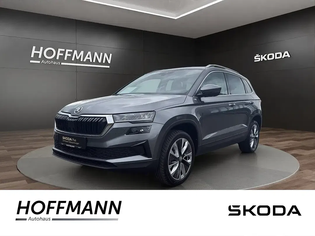 Skoda Karoq - Thumbnail 1