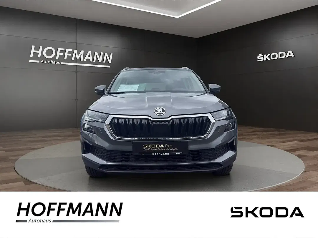 Skoda Karoq - Thumbnail 3