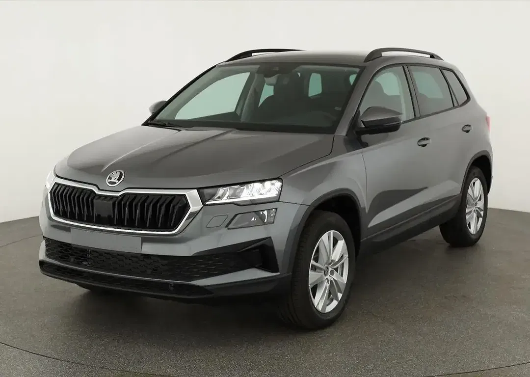 Skoda Karoq - Thumbnail 1