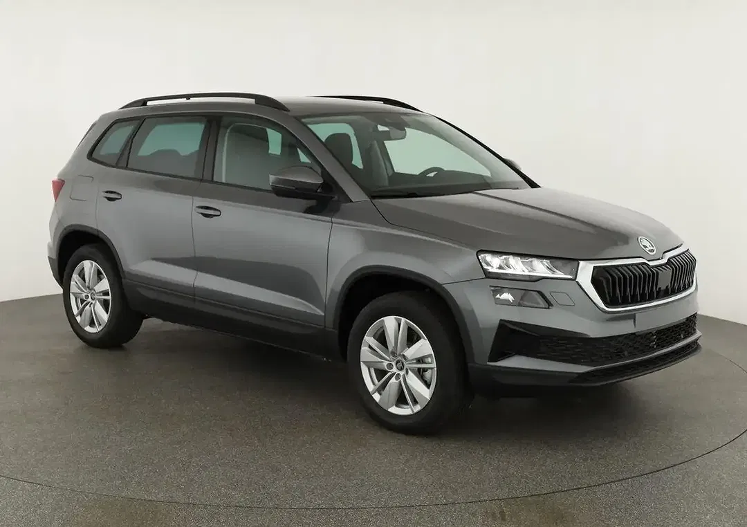 Skoda Karoq - Thumbnail 2