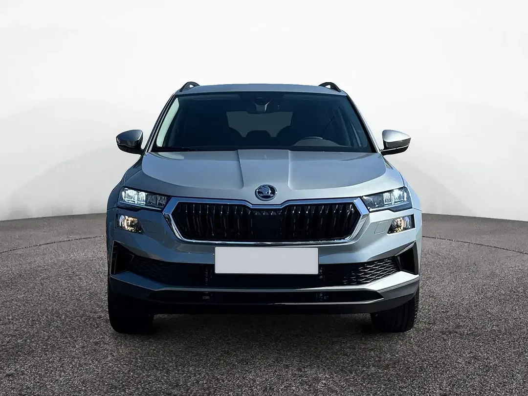 Skoda Karoq - Thumbnail 2