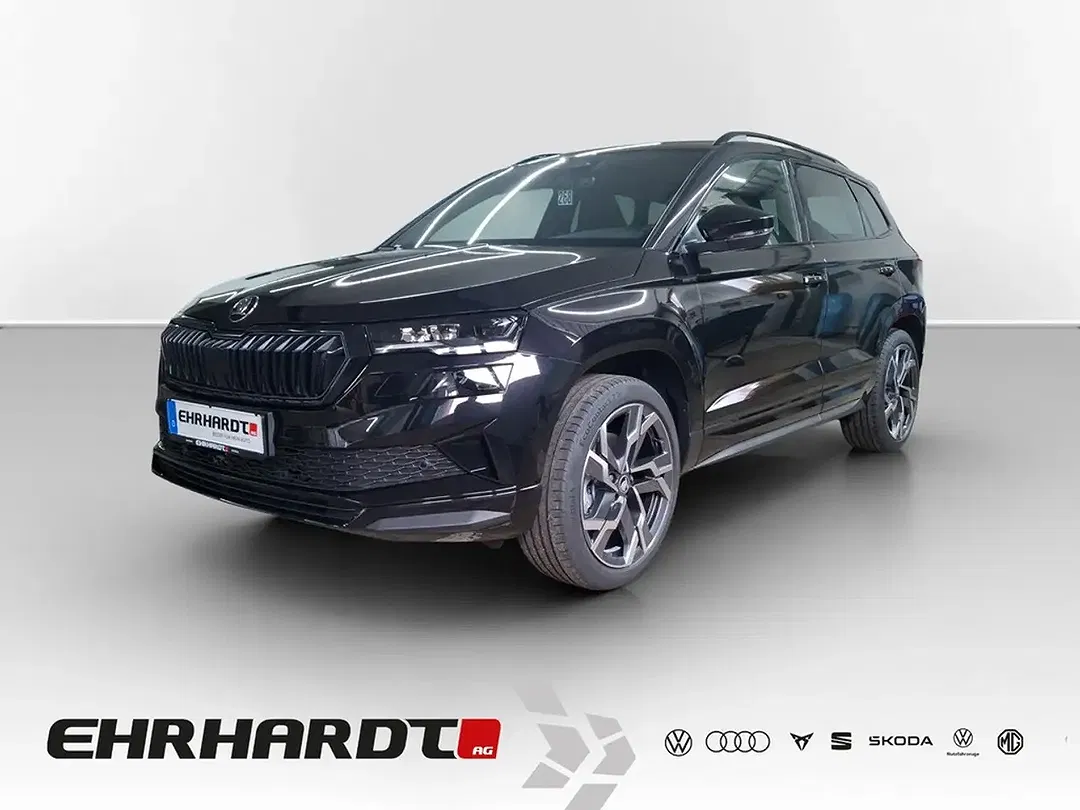Skoda Karoq - Thumbnail 1