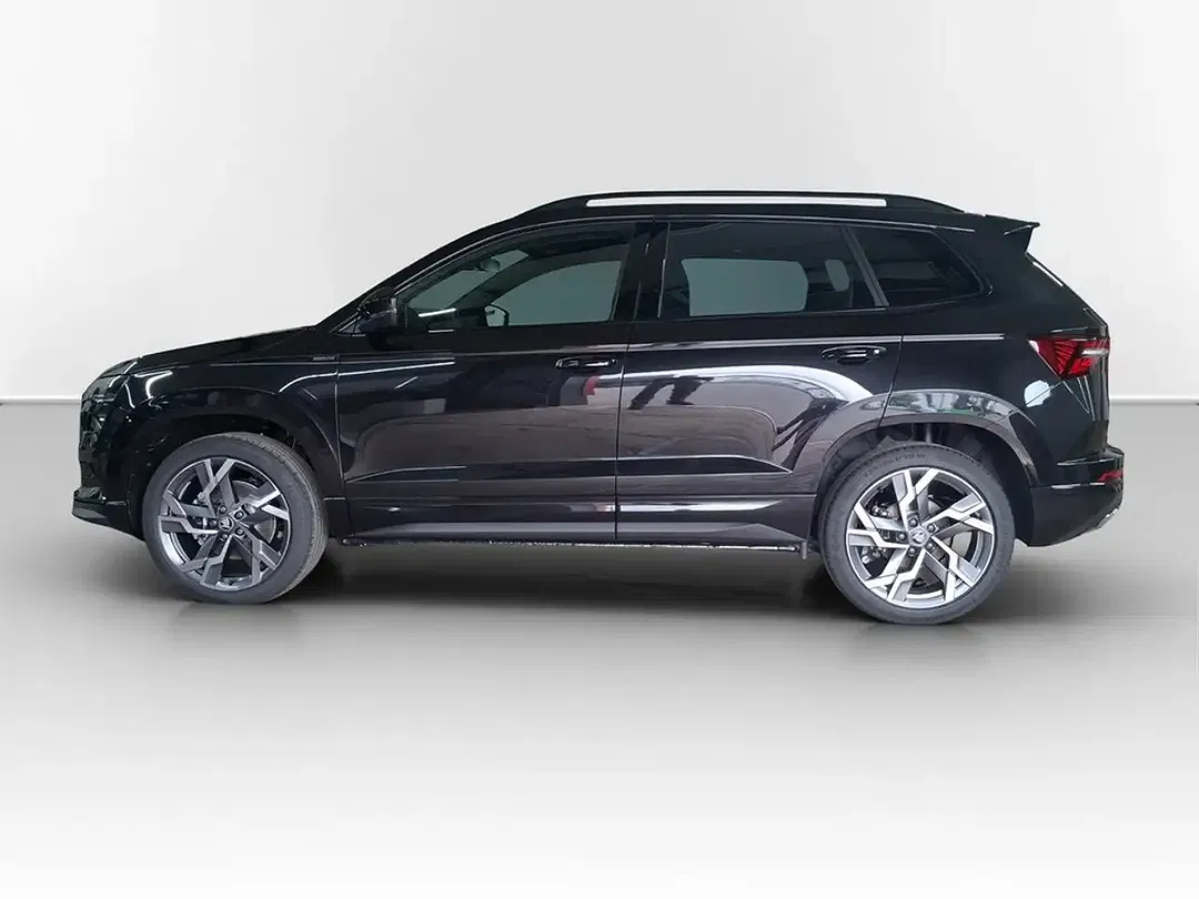 Skoda Karoq - Thumbnail 8