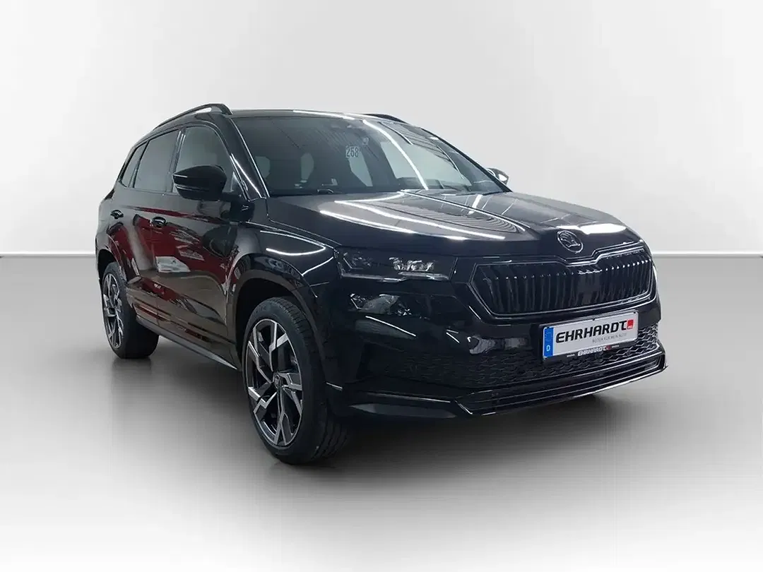 Skoda Karoq - Thumbnail 3