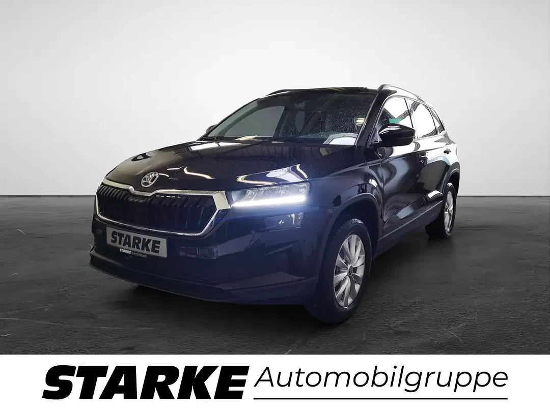Skoda Karoq - Thumbnail 1
