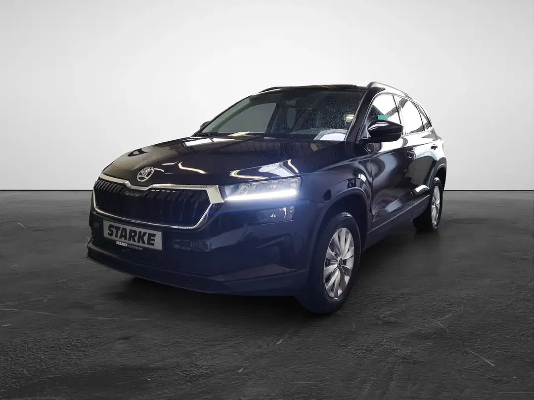 Skoda Karoq - Thumbnail 2
