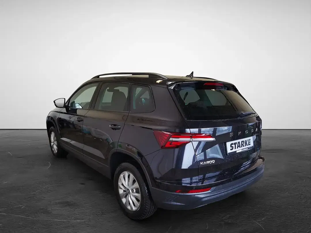 Skoda Karoq - Thumbnail 4