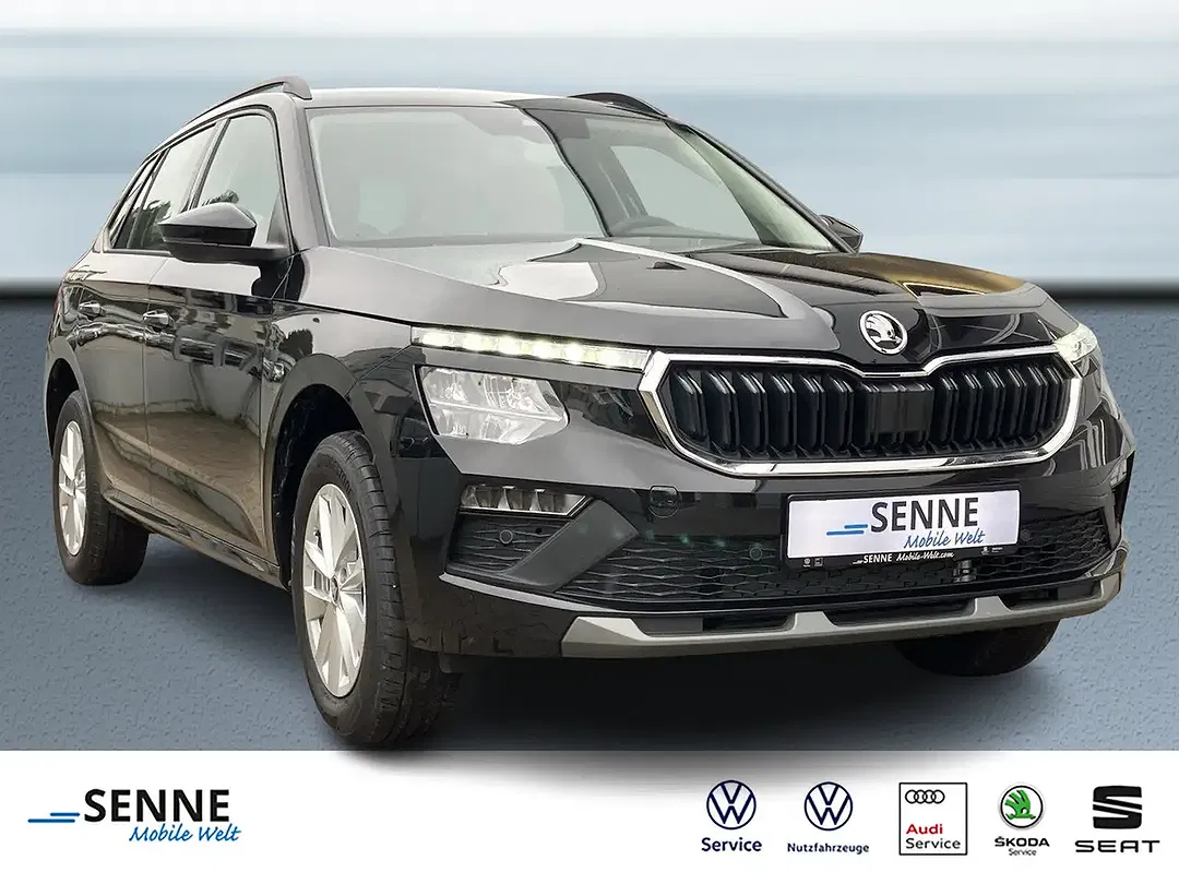Skoda Kamiq - Thumbnail 2